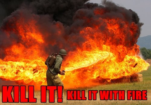 KILL IT WITH FIRE FUNNY FORUM PICS-s500x