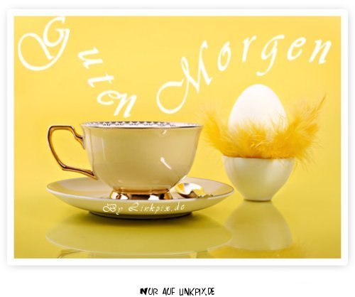 guten morgen by linkpix
