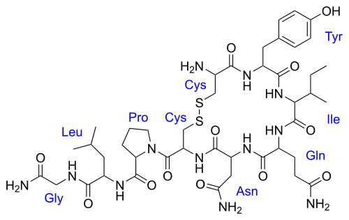 500px-Oxytocin.svg