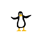 penguin3