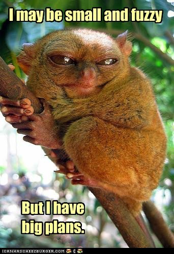 Bilder-Thread funny-animal-captions-animal-capshunz-eb