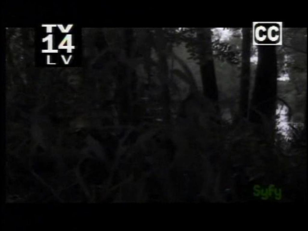 Bilder-Thread qiotvhttgtccbig
