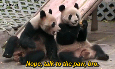 1332356963 pandas  talk to the paw
