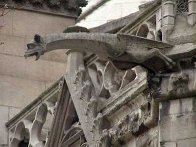 notre dame gargoyle