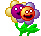 wbs2r8gajdq