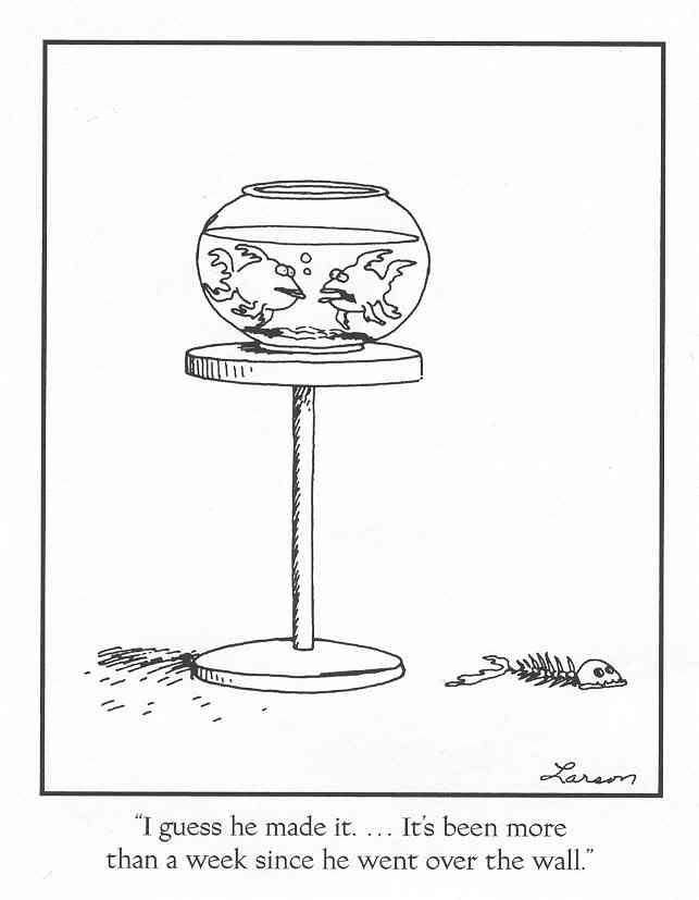 Gary-Larson-Fish-Escaped