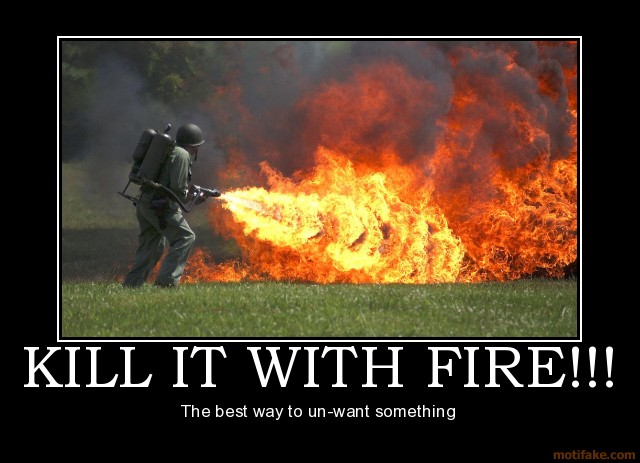 kill it with fire demotivational poster 