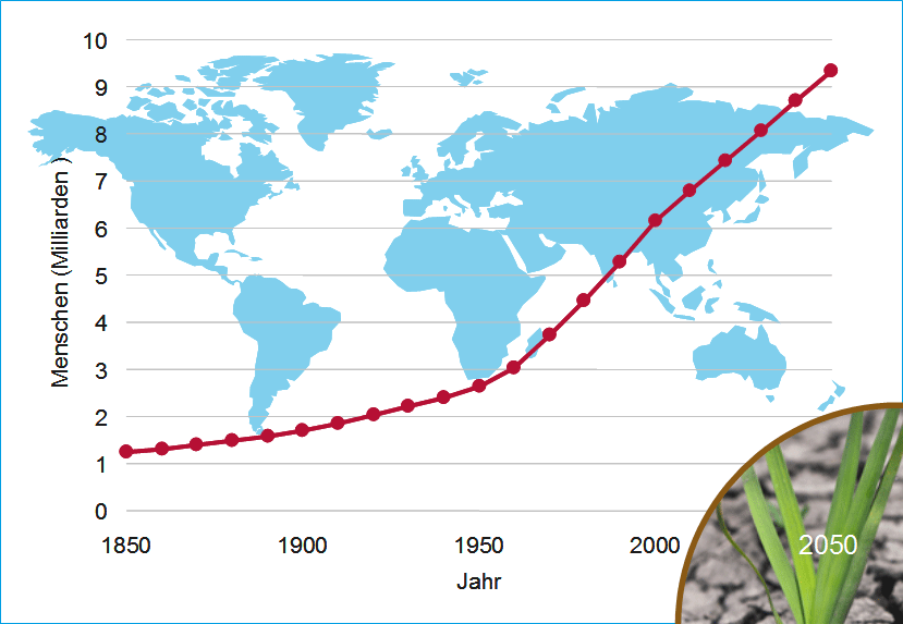 entwicklung-der-weltbevoelkerung-800