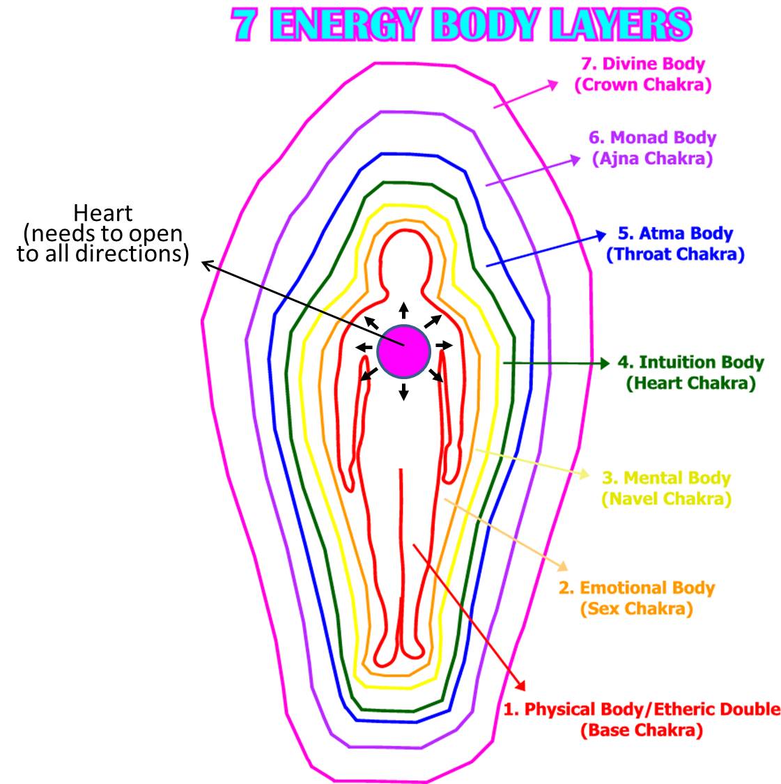 Body-Layers-Open-Heart