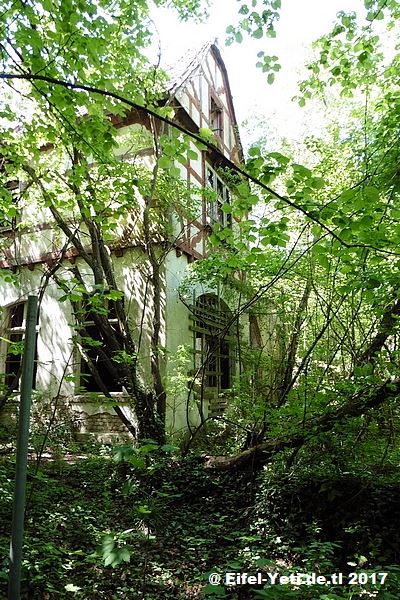 Verlassene Gebäude in Hessen/Rheinland Pfalz lp-w-burg2017228msfq