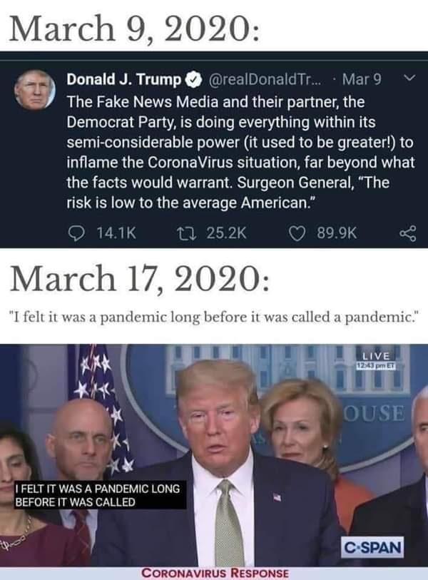 trump pandemic