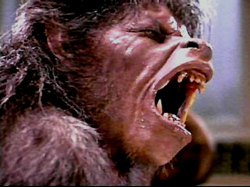 an-american-werewolf-in-london-image