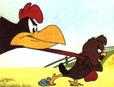 Bilder-Thread 27674644.foghorn12pulledbychickenhawk