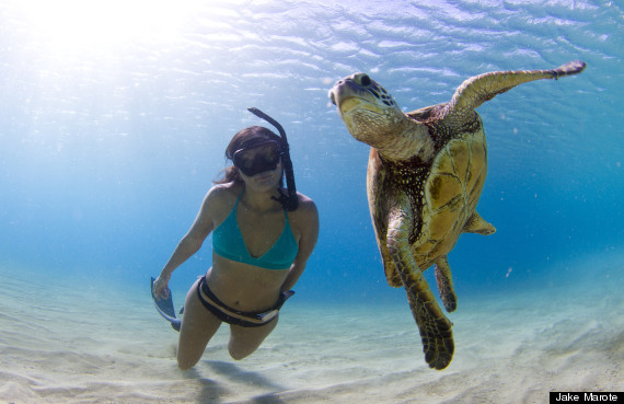 Bilder-Thread o HONU 570