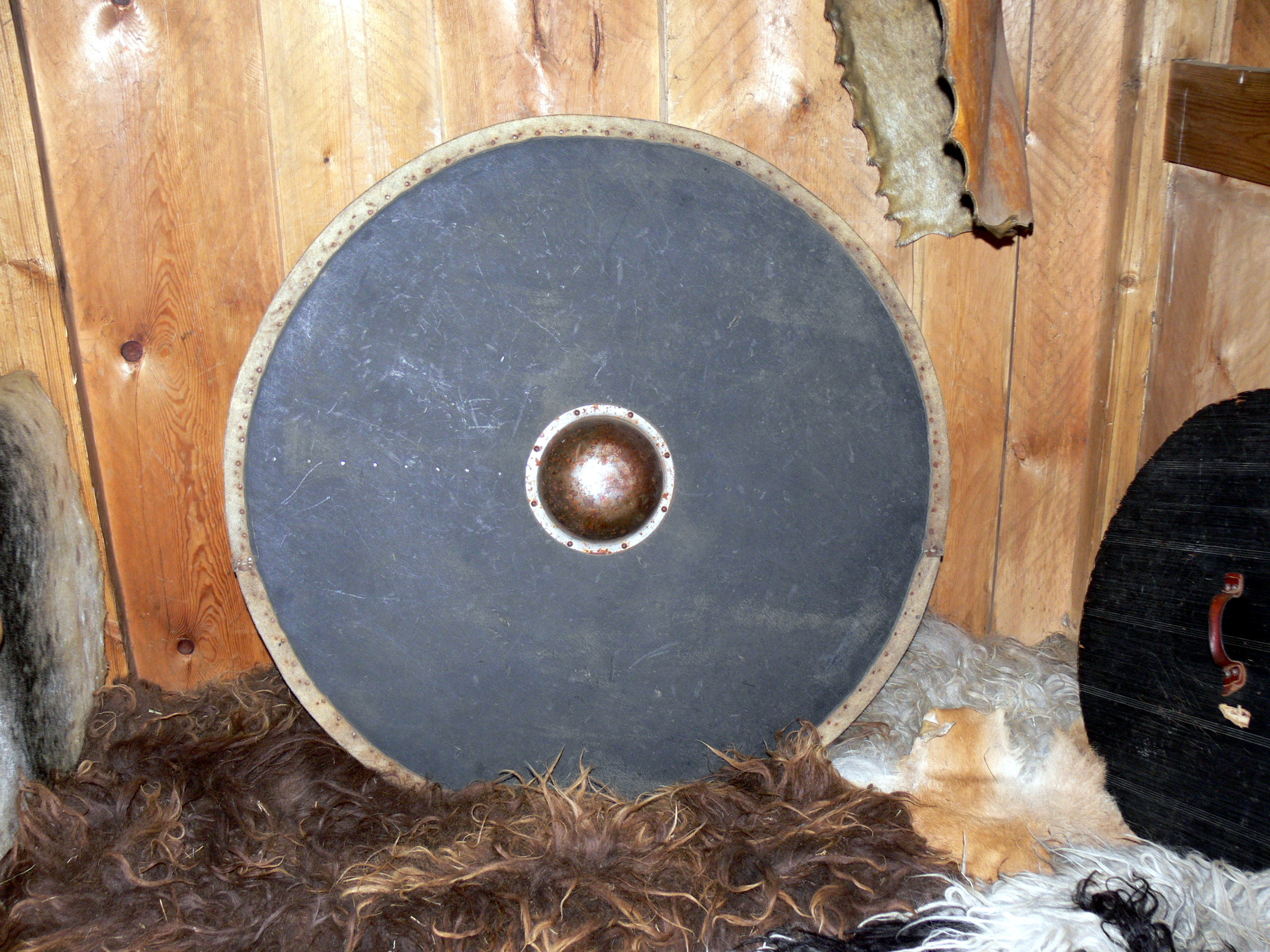 Bilder-Thread EirC3ADksstaC3B0ir - Wikingerschild