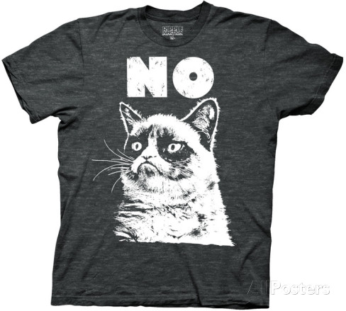 grumpy-cat-no