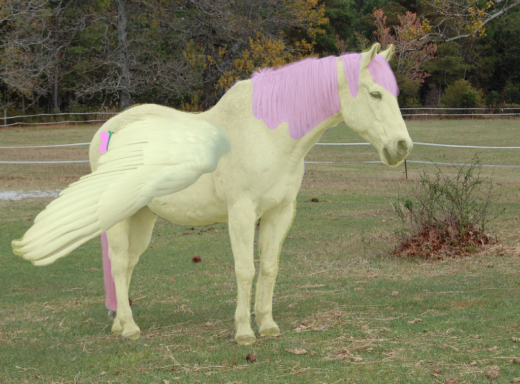 Какие бывают настоящие. Единорог настоящий. Розовая лошадь. Редкие лошади. Единорог лошадь Живая.