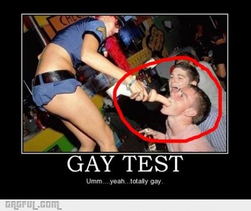 1337332054 gay test fail gag