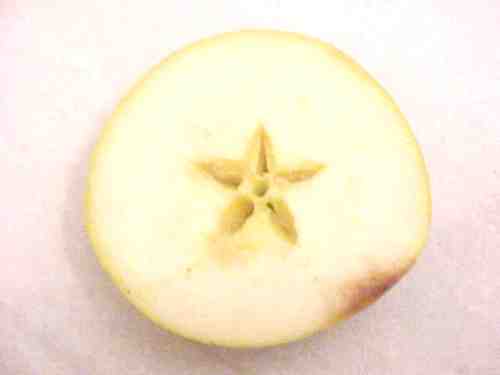 apfel2