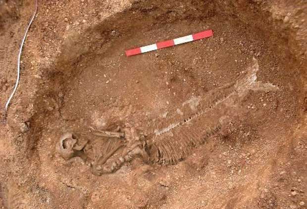 buried-mermaid-body-found