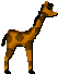 Giraffe5