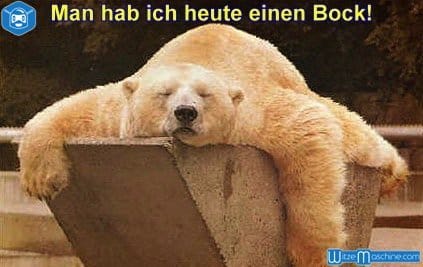 Fumos miese Spelunke lustige tierbilder 02 0