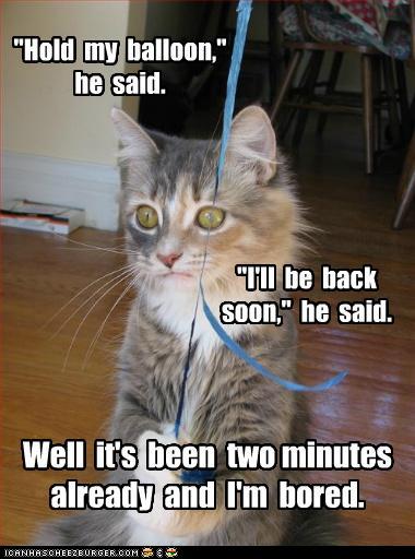 Bilder-Thread t9R50Xj funny-pictures-two-minutes-is-too-long