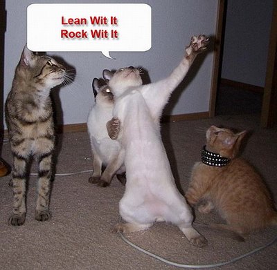 dancing cat-12759