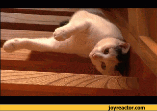 gif-car-stairs-709994