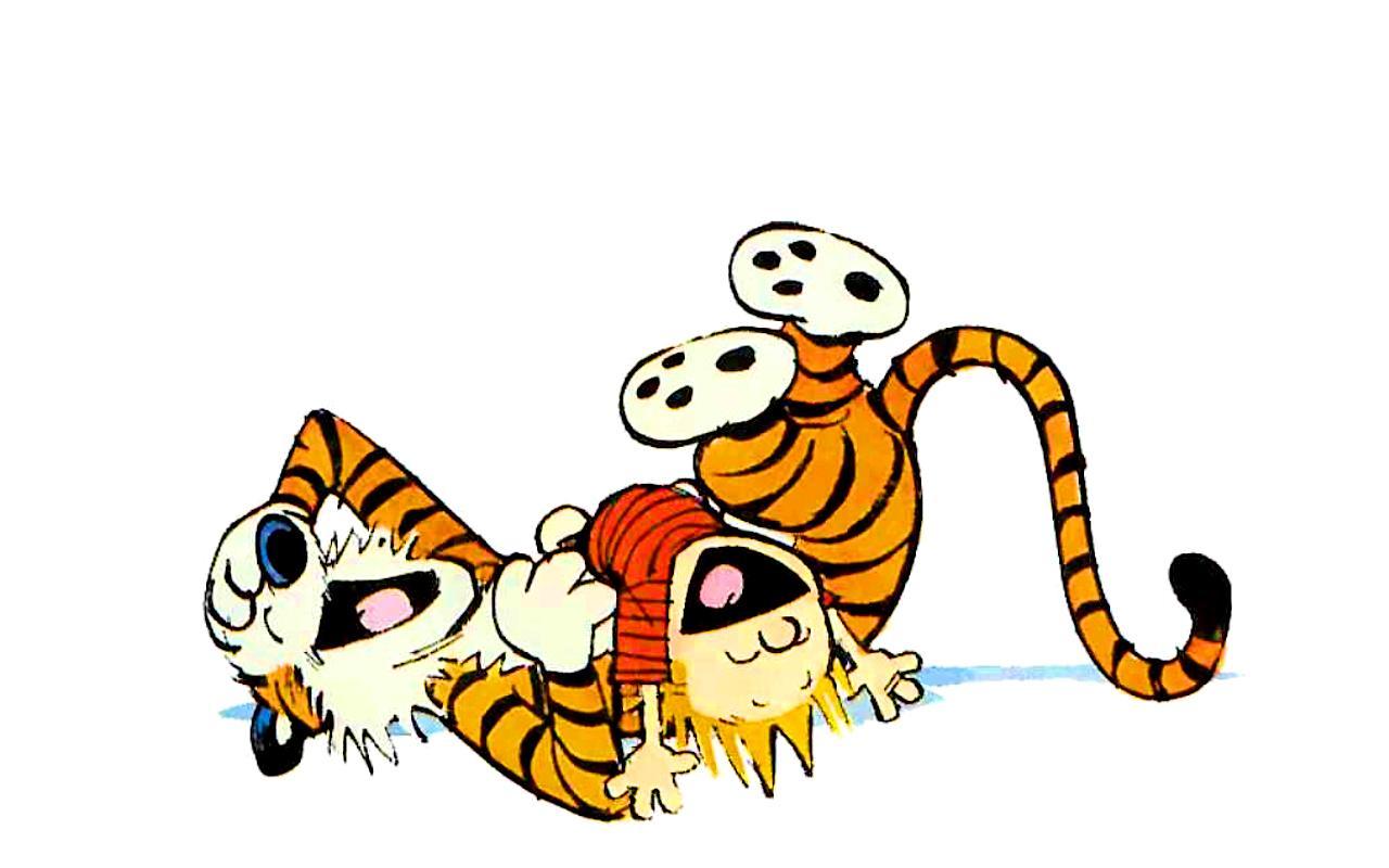 calvin-hobbes-calvin-and-hobbes-23762778