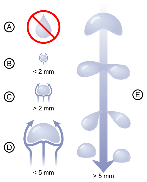 484px-Raindrops sizes.svg