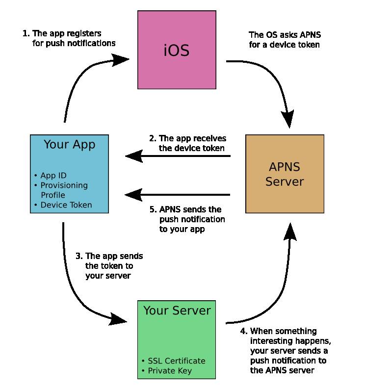 Push-Overview