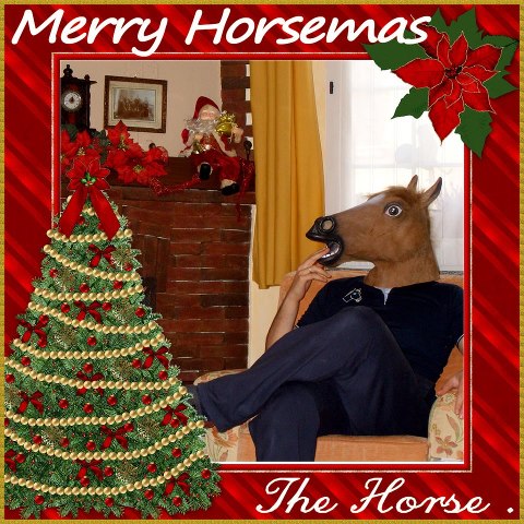 Bilder-Thread horse-head-mask-2