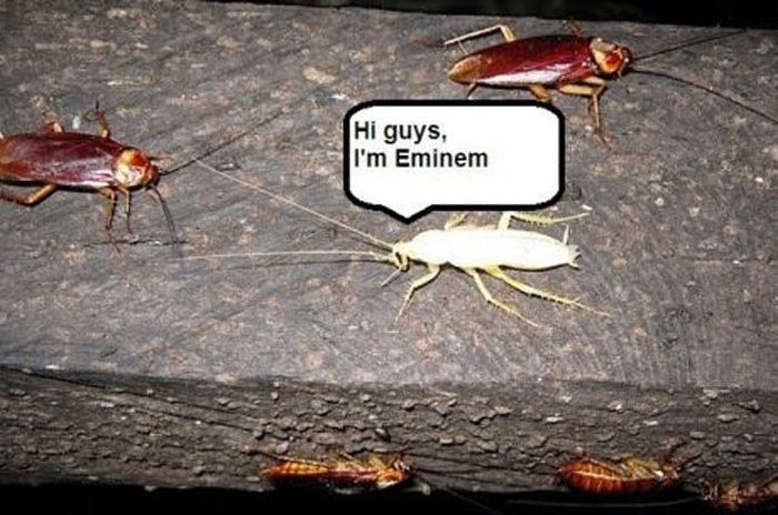 Bilder-Thread Funny-Pics-12.07.2012-13