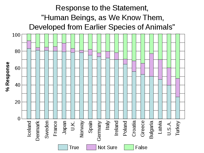 800px-Views on Evolution.svg