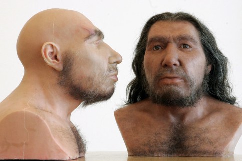 c7Tnxy Neandertaler
