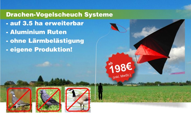 vogbannerd630drachendetail-21844225