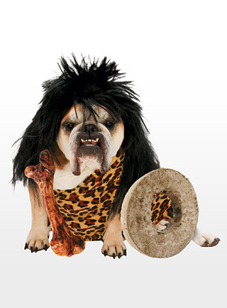 107322 cave dog costume urzeithund hunde