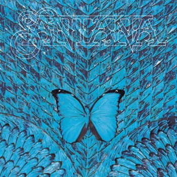 asantana-borboletta