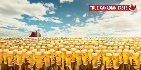 molson-canadian-beer-prairies-small-2593