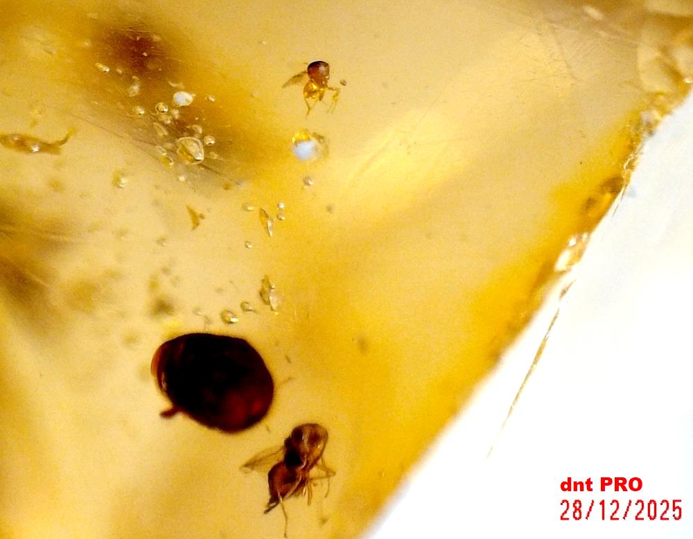 2025 1228 211343 001