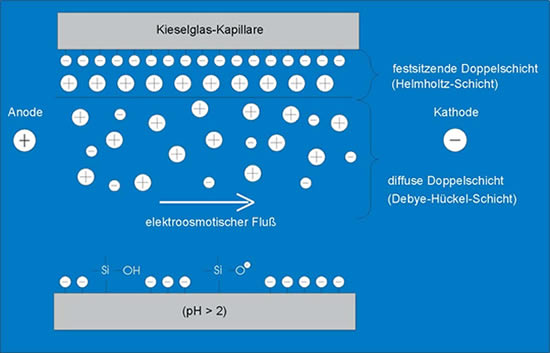 waetzig kpep eof-entstehung