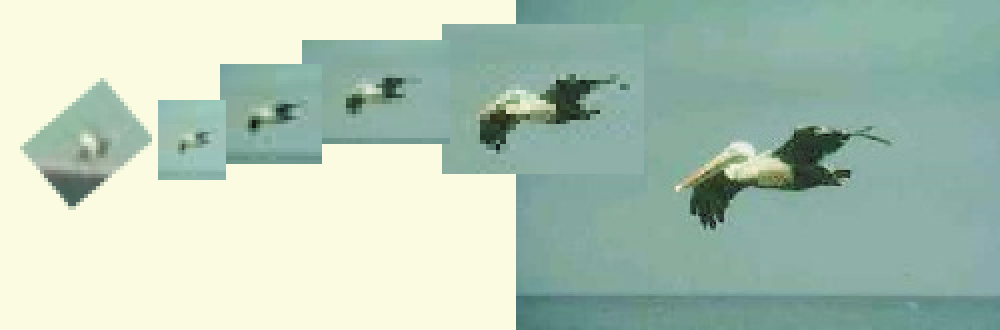 uf241921144113435ufo