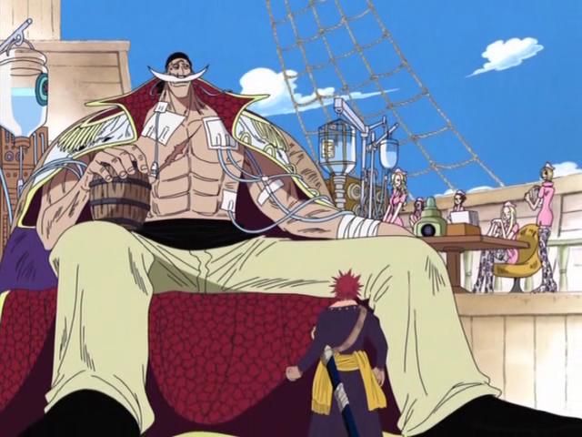 whitebeard 2