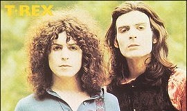 T Rex Album-4958928