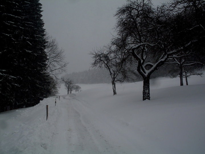 Bilder-Thread tAQzrTM AvnTHP 58936 148490711849426 10000065493
