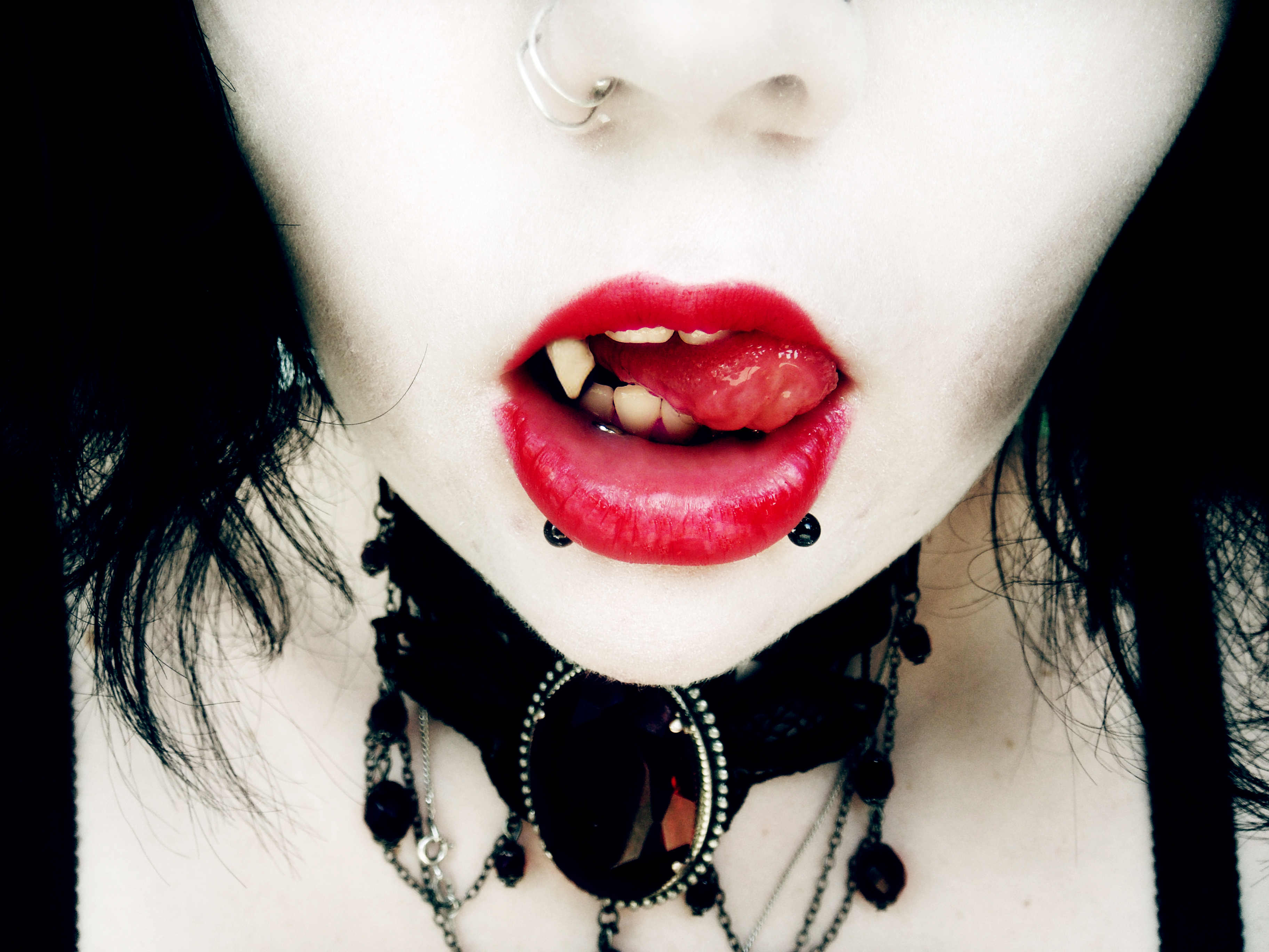 Bilder-Thread tAVHSAp Blood and Gold