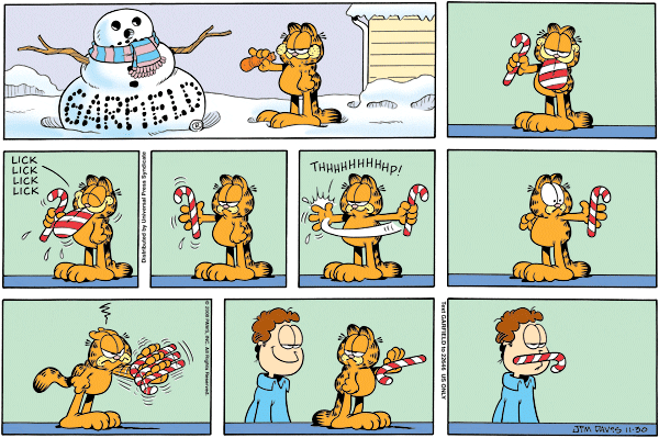 Garfield-2008.11.30