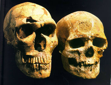 Neanderthal-Cro-Magnon