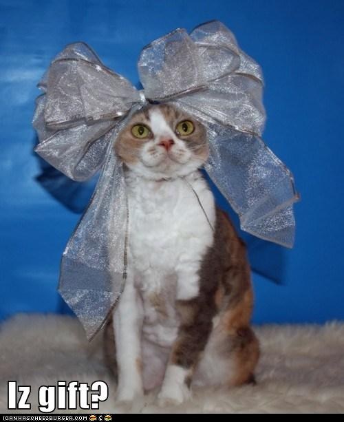 Bilder-Thread tBSnKEc funny-pictures-iz-gift